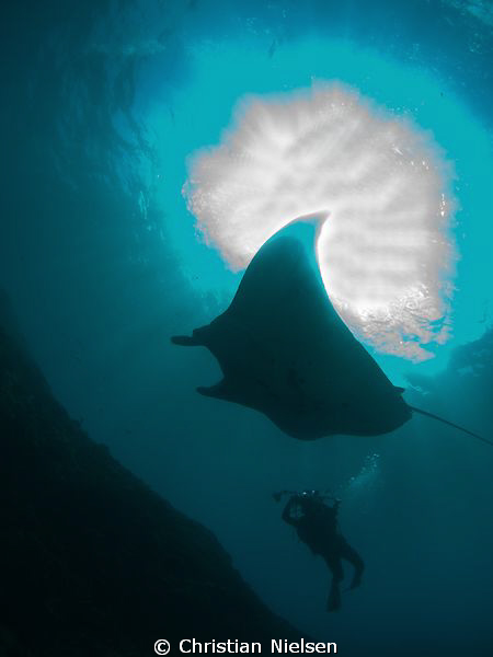 Photo shot on Manta Point, Bali. I have "repaired" the bu... by Christian Nielsen 