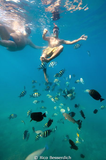 2 egyptians are feeding fish at Na'ama bay in Sharm el Sh... by Rico Besserdich 