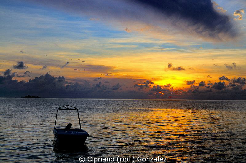 After an aweson diving day by Cipriano (ripli) Gonzalez 