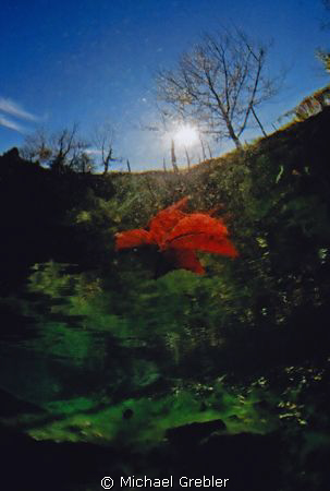 Autumn at Morrison's Quarry. Nikonos V, Sea & Sea 12mm le... by Michael Grebler 