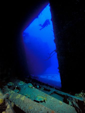 Theo Wreck interior, Bahamas (Nikon F4, 18mm/3.5, Aquatic... by Andrew Dawson 