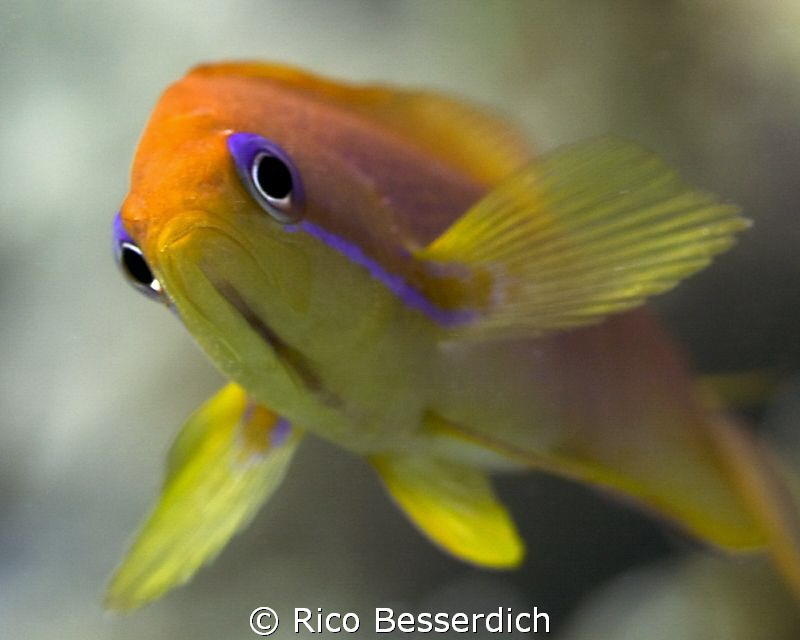 With love from Sharm El Sheikh :-) by Rico Besserdich 