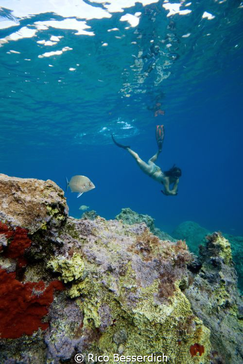 freediving by Rico Besserdich 