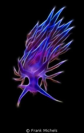 Flabbelina from Outherspace by Frank Michels 