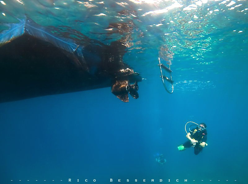 "At the end of the dive" CANON 40D with 10-20mm sigma len... by Rico Besserdich 
