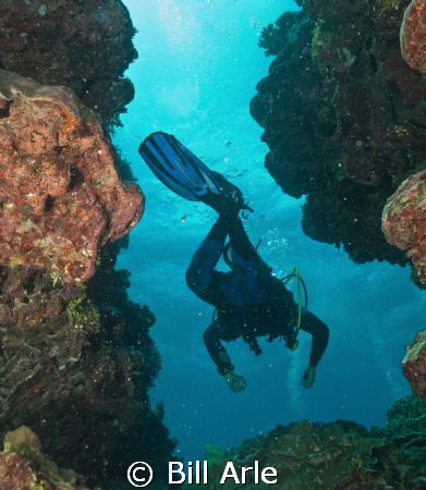 Osprey Reef.  Canon G-10 by Bill Arle 