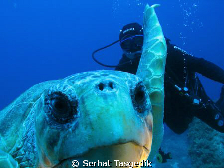 caretta with my buddy   
 Kas-Antalya   Canon G9 by Serhat Tasgedik 