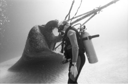 Depth 33m Natural light Diver off the Bow of the Tibbetts... by Keith Partlo 