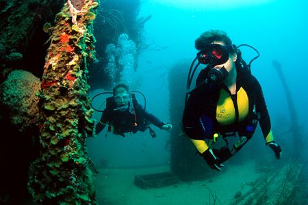 The Prince Albert, Roatan. This shore dive helped burn ma... by Ian Brooks 
