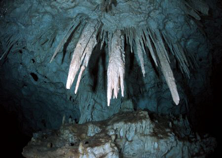 Beautiful fresh water cave diving in the Dominican Republic by Juan Torres 