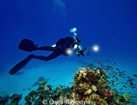 Making a documentary on underwater life. by Gosia Nowodyla 