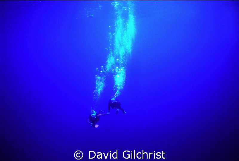 Ascent from the Blue, by David Gilchrist 