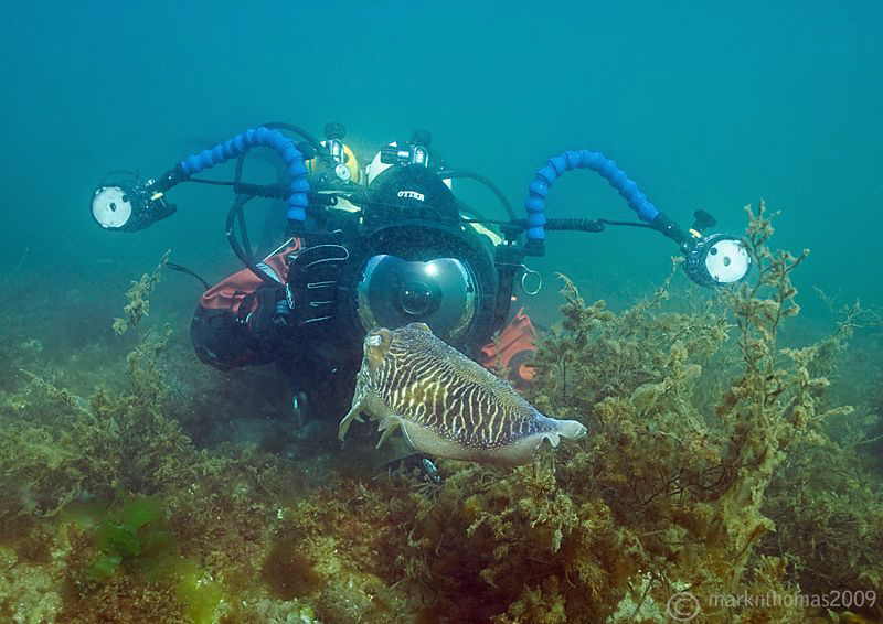 Face to Face.
Babbacombe.
D200 16mm. by Mark Thomas 