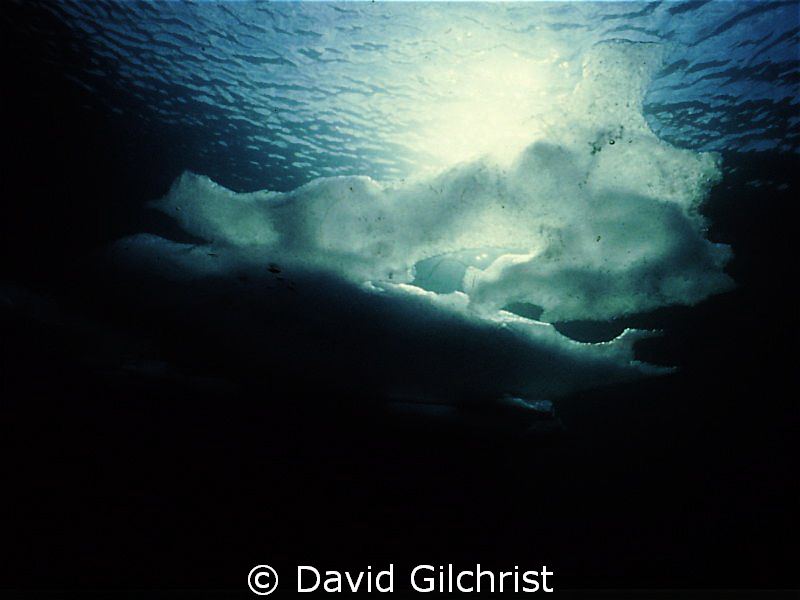 Ice Sculpture 1, Drifting arctic ice can take on surprisi... by David Gilchrist 