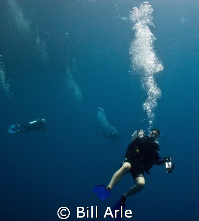 Katja.  Coral Sea.  Canon G-10. by Bill Arle 