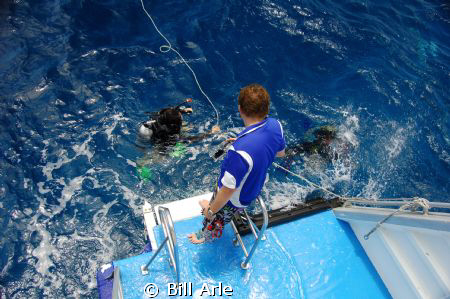 Divers away.  Coral Sea. by Bill Arle 