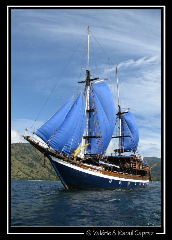 One week on the Sea Safari III (Komodo cruise)... one wee... by Raoul Caprez 