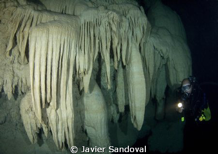 Diver in cenote Kinha Puerto Morelos by Javier Sandoval 