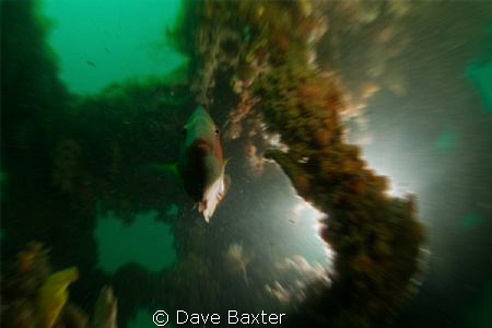 taken with a tonika 10-17mm - zoomed in on slow shutter s... by Dave Baxter 