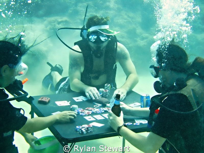 Card Sharks by Rylan Stewart 