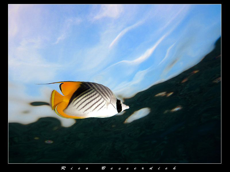 Cruising Snell's Window ;-) by Rico Besserdich 