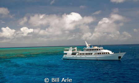 Osprey Reef, Coral Sea. by Bill Arle 