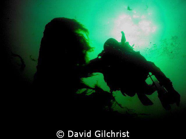 Diver silhouette, Niagara River by David Gilchrist 