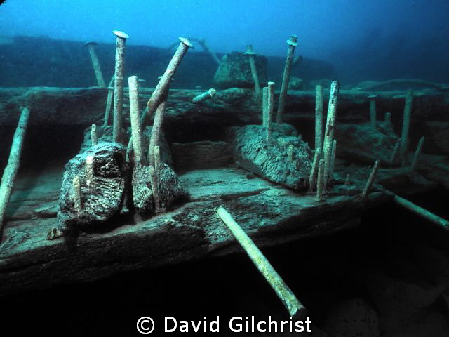 Spikes, Wetmore Wreck, Fathom Five National Marine Park by David Gilchrist 