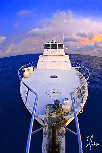 An early morning shot from the bow of the MV Shear Water ... by Steven Anderson 