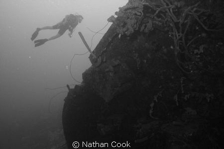 Helma Hooker.. by Nathan Cook 