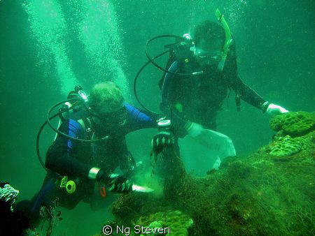 World Cleanup Day cutting the nets left by fishermen when... by Ng Steven 