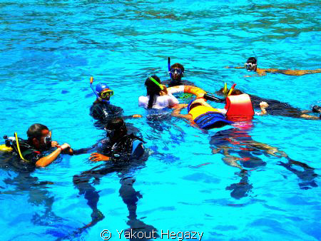 Snorkeling-diving in the red sea by Yakout Hegazy 