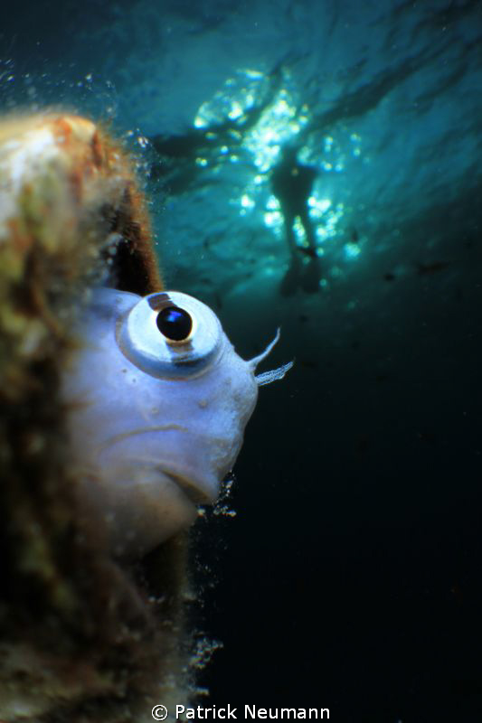 i took this shot whilest the Epson Red Sea Shootout in No... by Patrick Neumann 