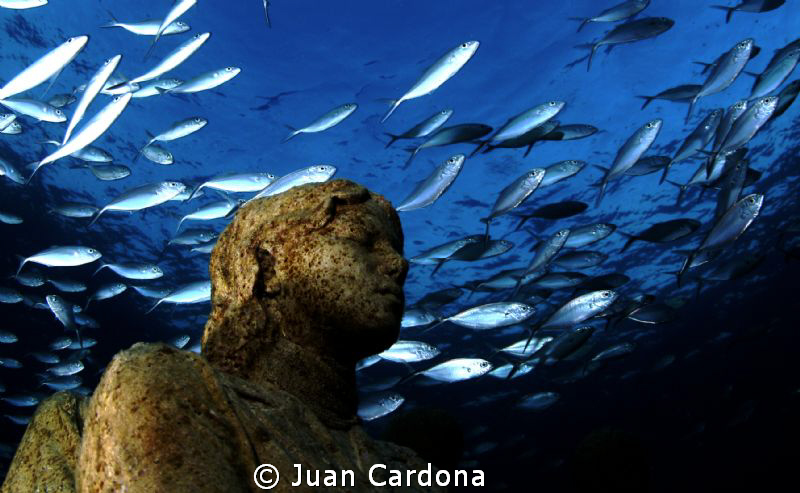 Museum submarine of Art  (MUSA) by Juan Cardona 