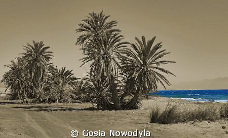 Goodbye Red Sea.  I will remember you ... by Gosia Nowodyla 