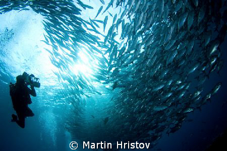Libery wreck - Tulamben - Bali by Martin Hristov 