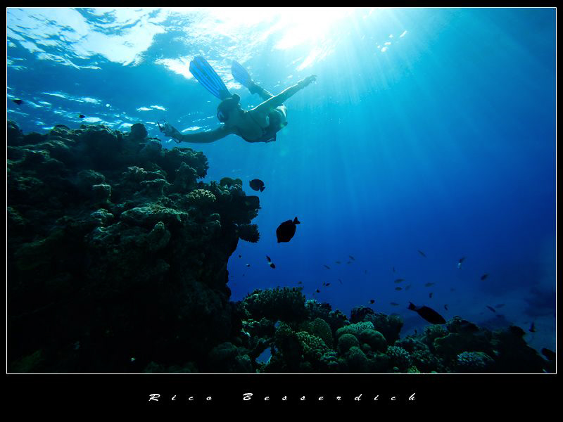 A freediving photographer. CANON 40D, Sigma 10mm, no stro... by Rico Besserdich 