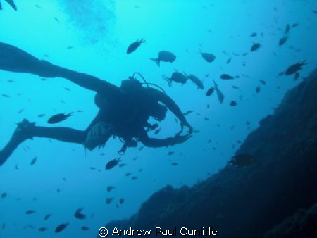 taken with casio z85 with soft flash by Andrew Paul Cunliffe 