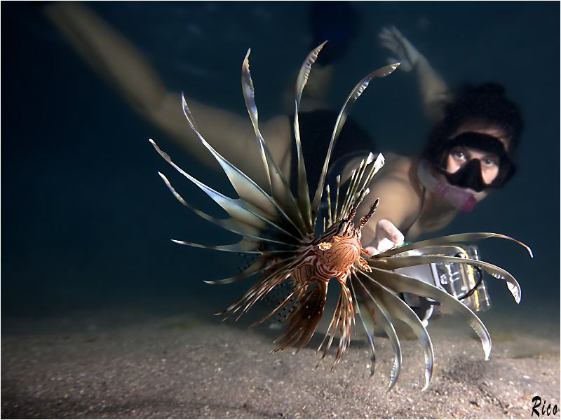 "Interaction" - At the end of a long snorcling uw photo s... by Rico Besserdich 