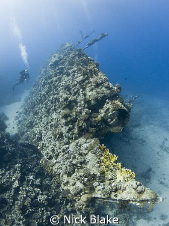 Diving the Carnatic
Nikon D300, Tokina 10-17mm lens by Nick Blake 