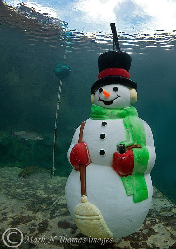 I know it's getting cold but ...........! by Mark Thomas 