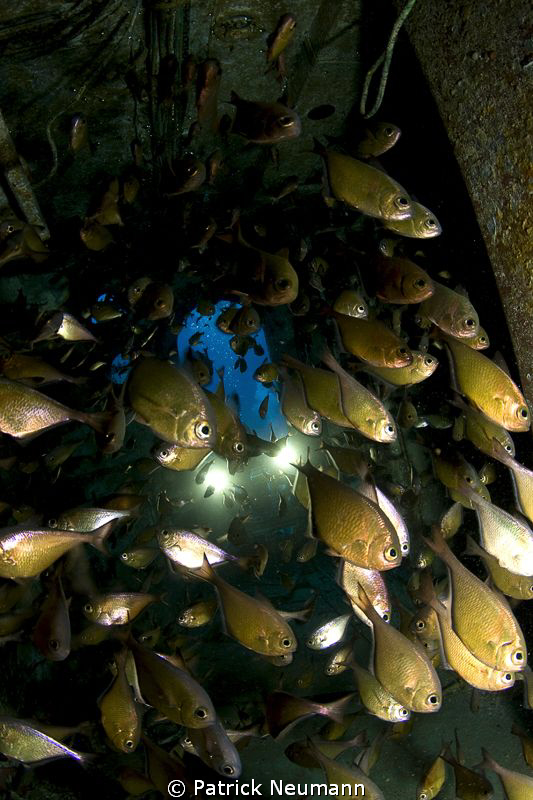 inside Sutil Wreck by Patrick Neumann 