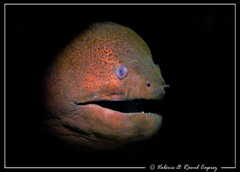 Out of the dark ! by Raoul Caprez 