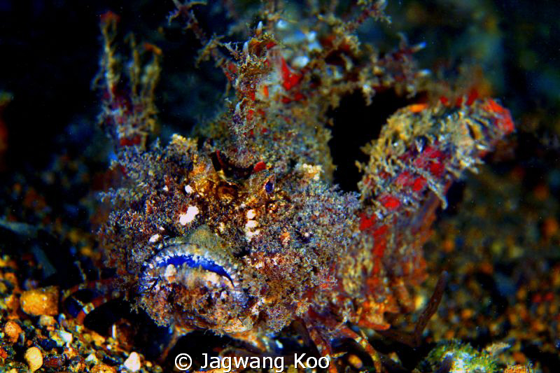 ? by Jagwang Koo 