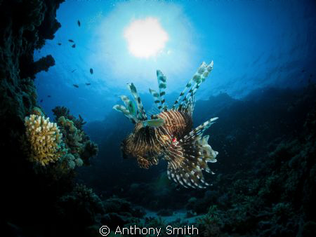 Suspension... by Anthony Smith 