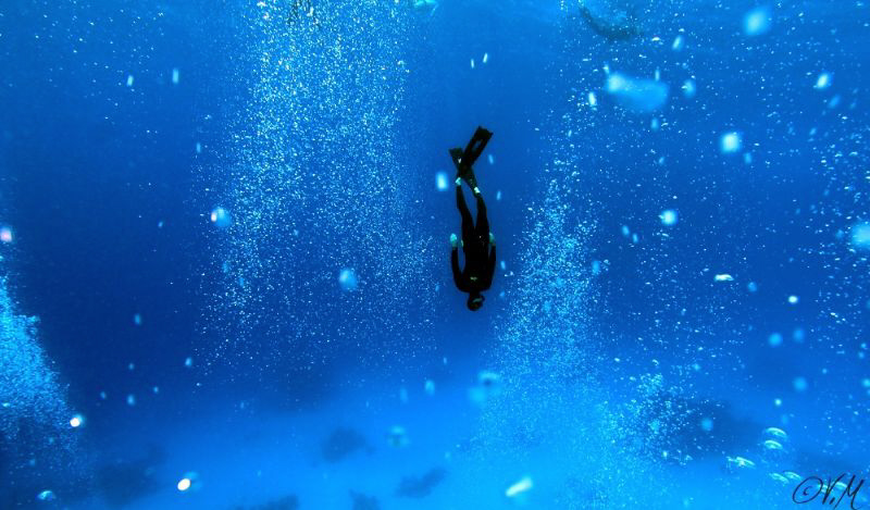 Freediving by Veronika Matějková 