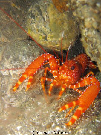 Cave system at 15m, South Tenerife, Canaray Islands by Michael Skrobisz 