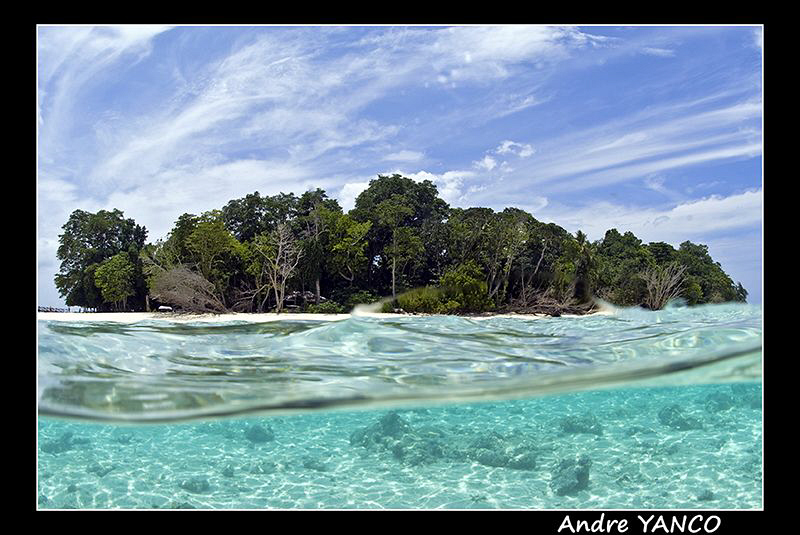 An over/under shot of my favourite diving spot SIPADAN IS... by Andre Yanco 