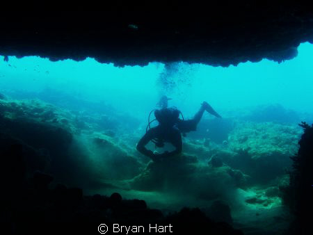 in 10m of water off Durban - the Caves is one of the only... by Bryan Hart 