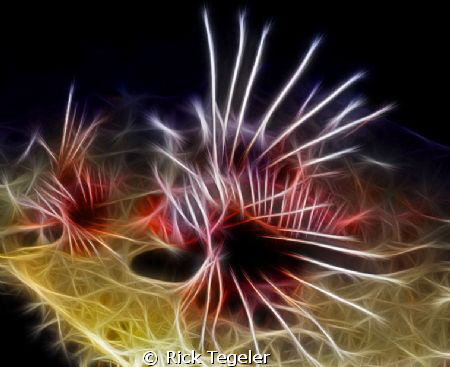 Lionfish.. Enjoy! by Rick Tegeler 
